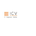 icv-in-practice.com