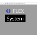 iflexsystem.com