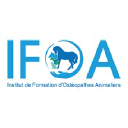 ifoa.fr
