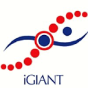 igiant.org