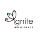 igniteintelligence.com