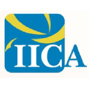 iica.in