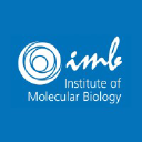 Institute of Molecular Biology (IMB)
