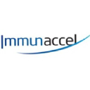 immunaccel.com