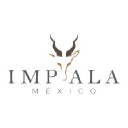 impalamexico.com