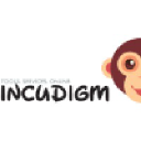 Incudigm Network