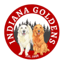 indianagoldens.com