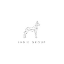 indiegroup.ca