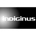 indiginus.com