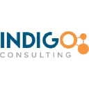 Indigo Consulting