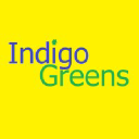indigogreensyork.co.uk