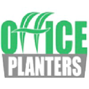 Indoor Plants