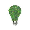 INGEWATT