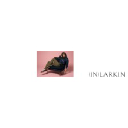 inlarkin.com