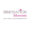 innovationblossom.com