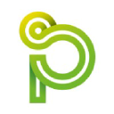pintobrasil-group.com