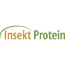 Insektprotein