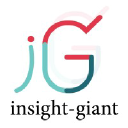 insight-giant.com