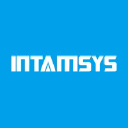 intamsys.com