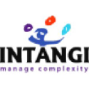 intangi.com