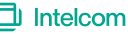 Intelcom | Dragonfly logo