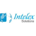 intelexsolutions.com