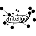 inteligg.com