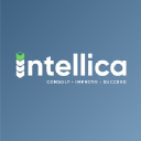 intellica.co.uk