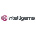 intelligems.com.tr