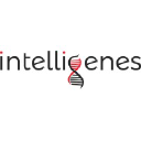intelligenes.net