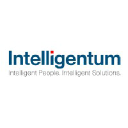 intelligentum.com