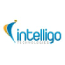 intelligo.in