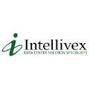 intellivex.com