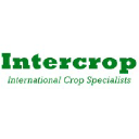 intercropgroup.com
