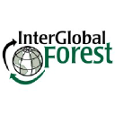 InterGlobal Forest