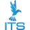 International Tax Solutions logo