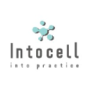 IntoCell