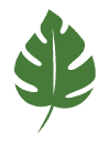 Intrinsic Salon & Spa logo