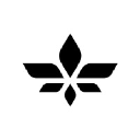 Lilium Logo