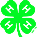 iowa 4-h foundation