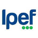 ipef.com.co