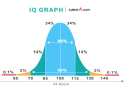 IQ Test
