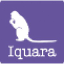 iquara.com