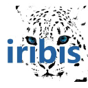 iribis.com