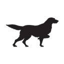 irishsetterboots.com Logo