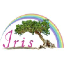 irisitsolutions.com