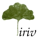 iriv.net