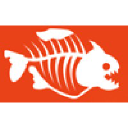 ironfishstudio.com