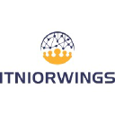 itniorwings.com