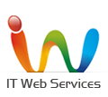 IT Web services